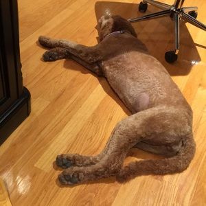 Meet your Posher, Surjit